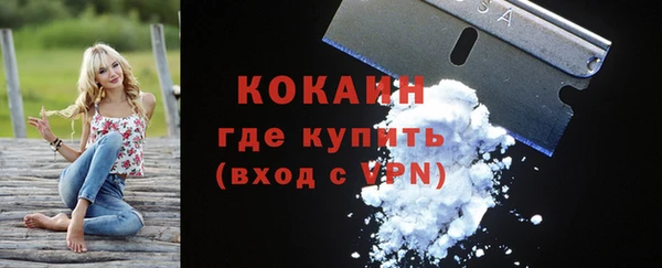 трава Арсеньев