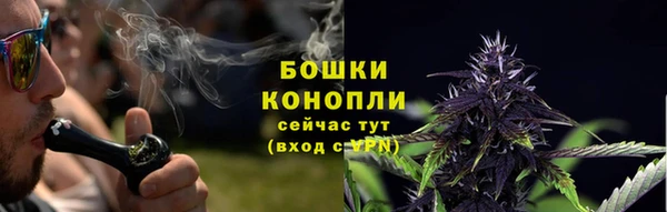 PSILOCYBIN Армянск